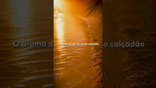 Body Splash Tropical Collection Copacabana 21 - Kiss New York