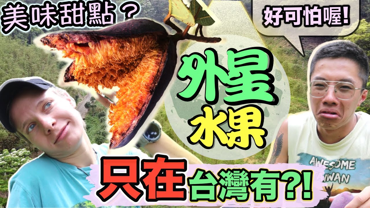 全世界只有台灣有的水果! 好吃到停不下來  最健康的甜點  The most special fruit of Taiwan   Healthy dessert