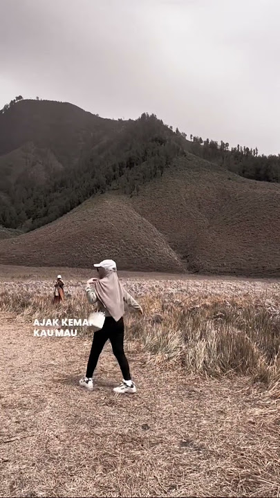 Bawalah pergi #laguviral #bawalahpergi #afgan #galaubrutal #sadstatus #storywa