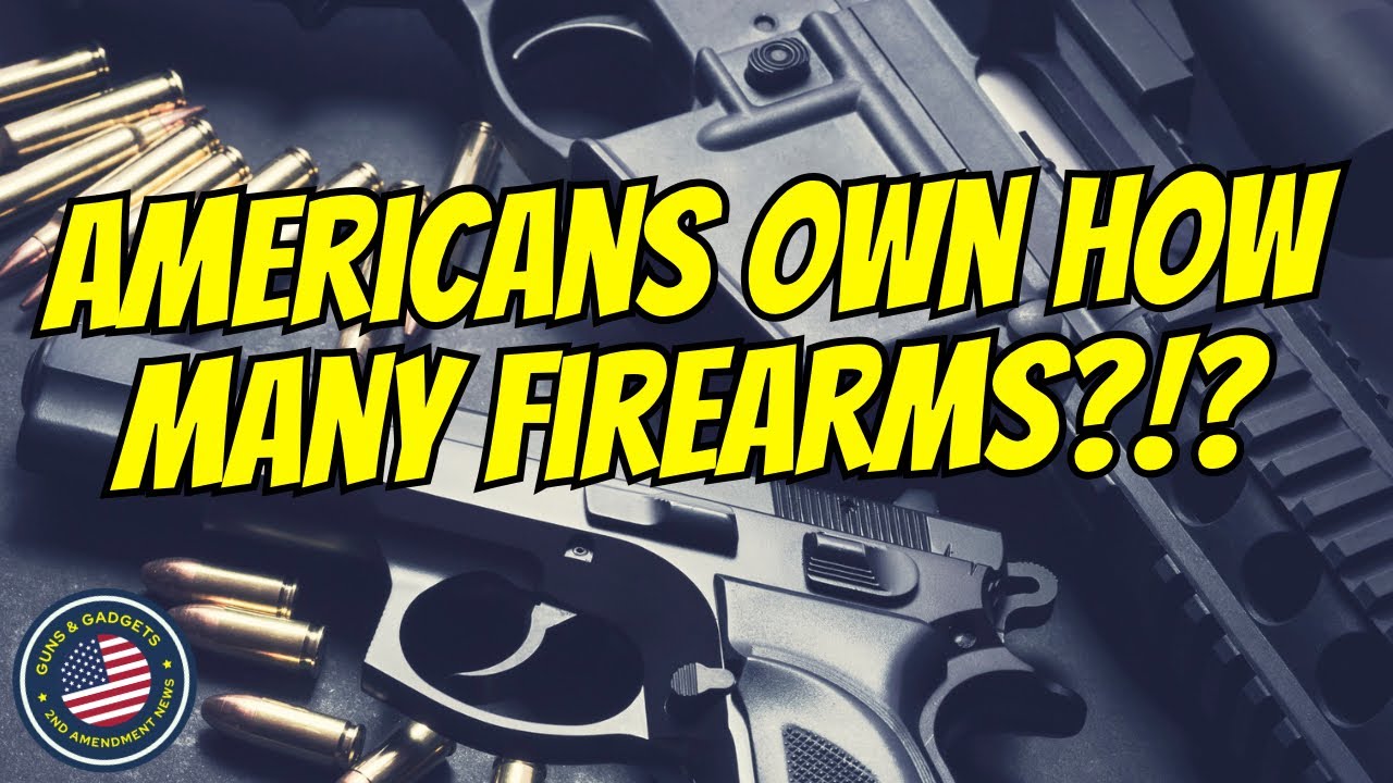 3% of Americans own half the country's 265 million guns