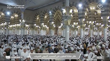 صلاة المغرب للشيخ د. عبدالمحسن القاسم  يوم السبت  14 شعبان 1445هـ سورة المائدة