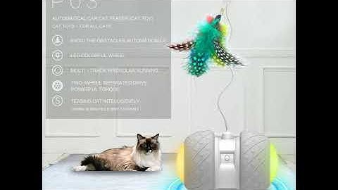 Feather Decorated Interactive Cat Toy || Cats and Dogs Accessories