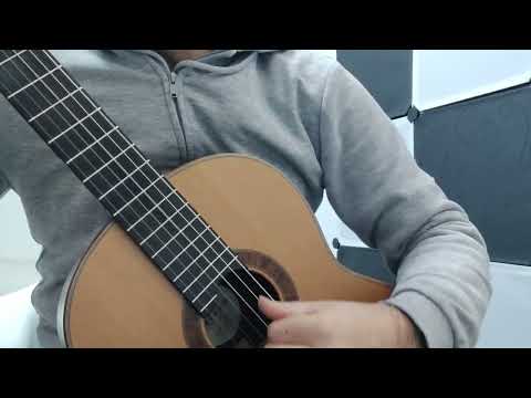 من مقطوعة رومانس دي لوس بينوس ل فيدريكو مورينو توروبا 