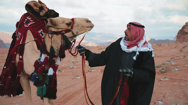 أغنية برنامج سين