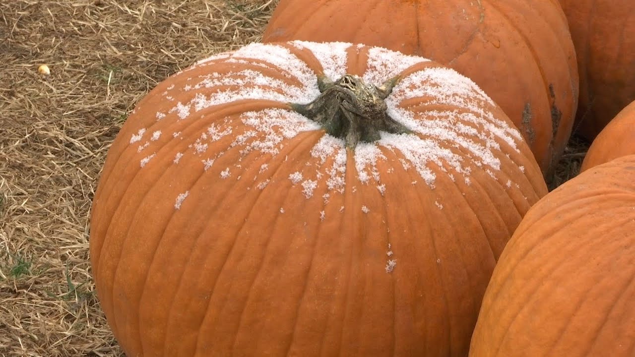 Cities, Outdoor Venues Brace for October Snow