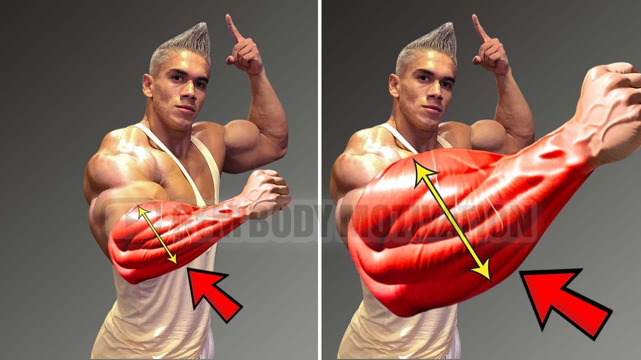 How to Build Forearm Muscles: Proven Tips for Stronger Arms