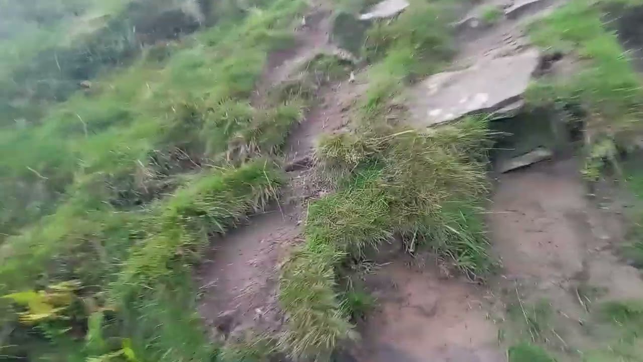 setting of at blackden brook