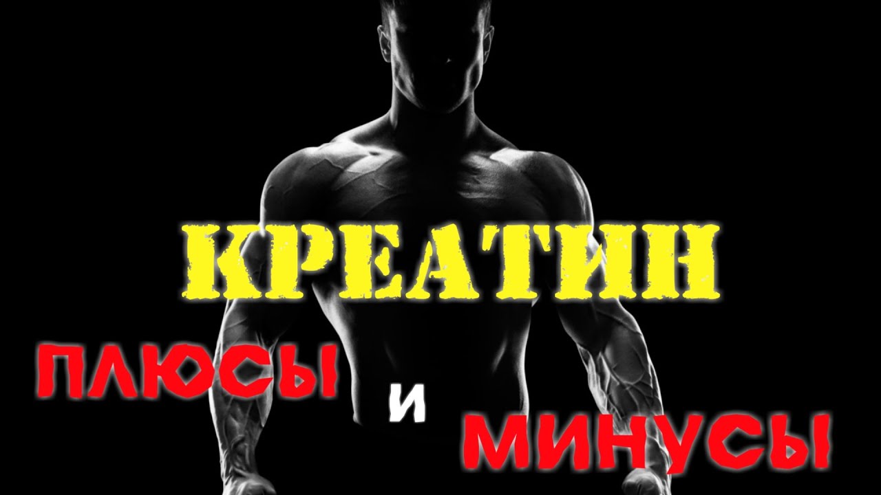 ЧТО ТАКОЕ КРЕАТИН/КАКИЕ ПЛЮСЫ И МИНУСЫ ОТ НЕГО😈 - YouTube