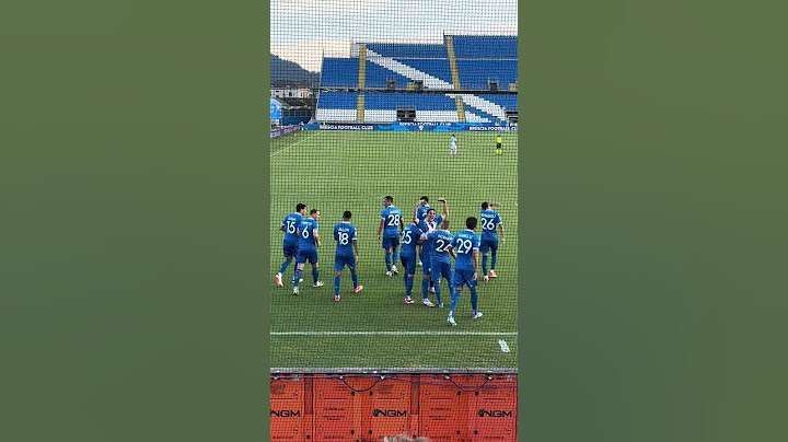 BRESCIA - VENEZIA 3-1 (2-0 Olzer) sotto la CURVA NORD