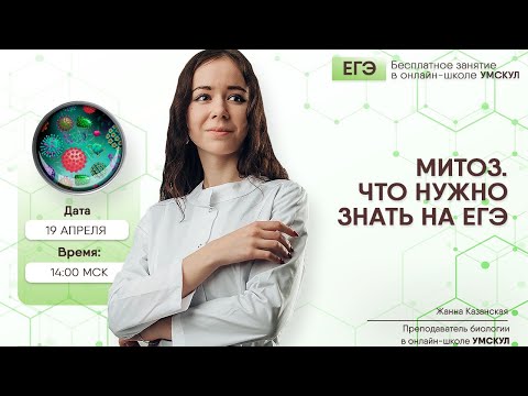 Митоз | Биология ЕГЭ | Умскул