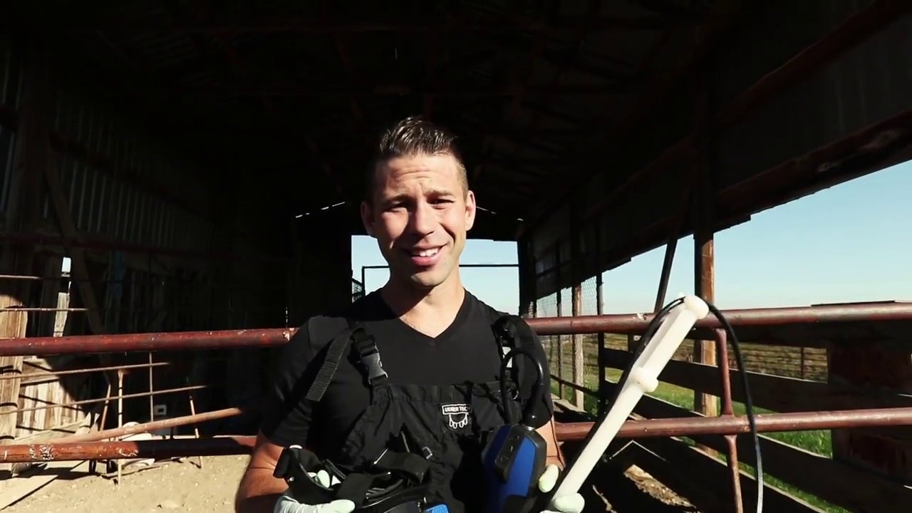 Сканер для коров Easi Scan Go  от МилкФарм