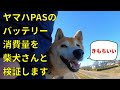 【102】ヤマハPAS、柴犬さんとバッテリー消費の検証をする