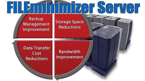 Storage and Backup Reductions with FILEminimizer Server