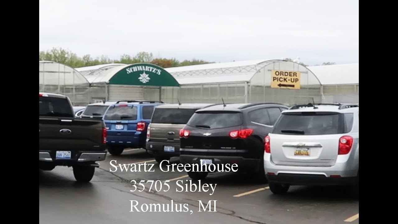 Schwartz's Greenhouse YouTube