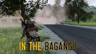 In The Bagango - ShackTac
