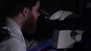 MTSU Science Building Research Lab 3007