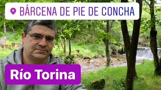 Bárcena de Pie de Concha: el río Torina