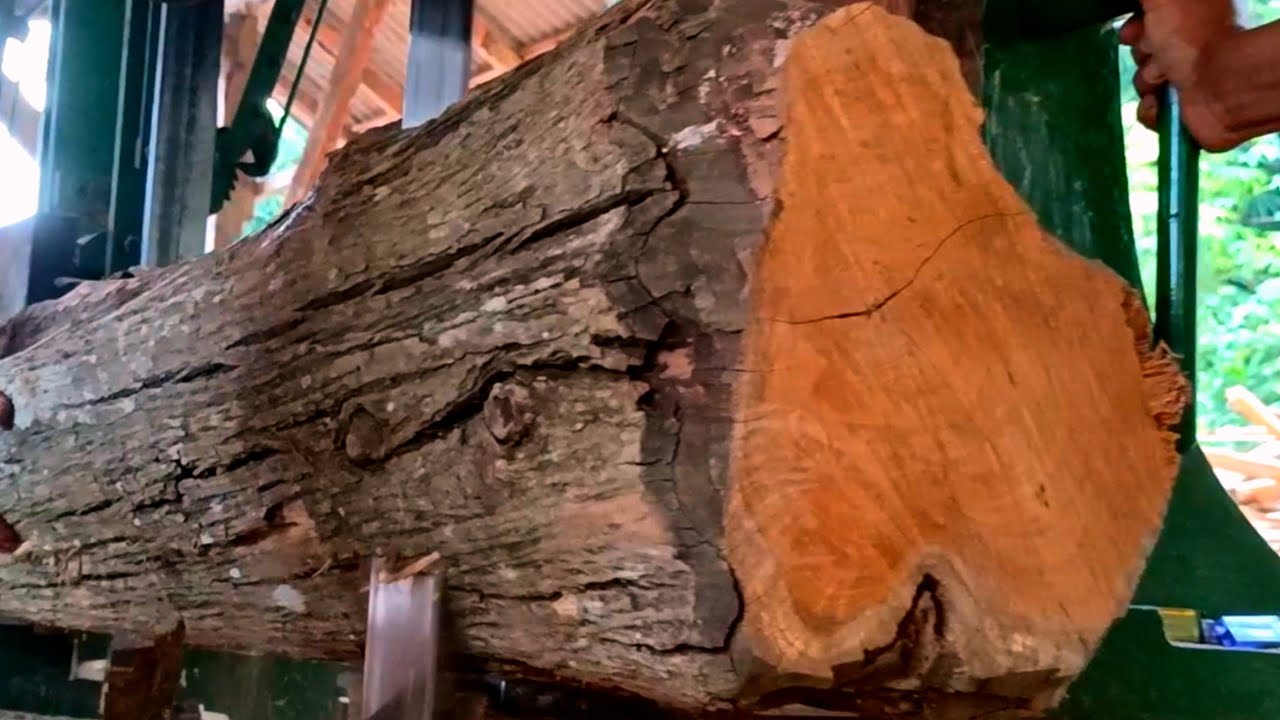 Special! Beautifully grained, old teak wood is the most expensive in the sawmill. 