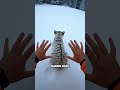 Kisah Harimau yang Diburu Serigala ❤🩹🐅