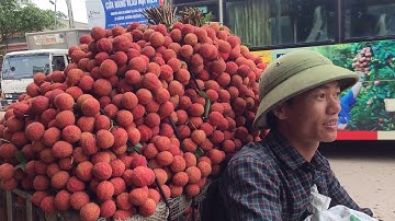 Giá Vải Thiều Lục Ngạn mới nhất 7/6/2020, Vải Thanh Hà đẹp giá cao 33k - 38k || Bản sắc miền núi
