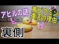 裏ではこうなっていた【ピクミンカート】