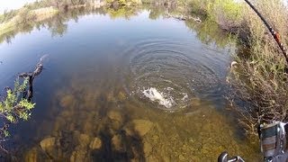 Primary lure in video affiliate link: http://amzn.to/2hedo4e enough
with the trout fishing videos-it's time for bass! hit up my favorite
bass lake souther...