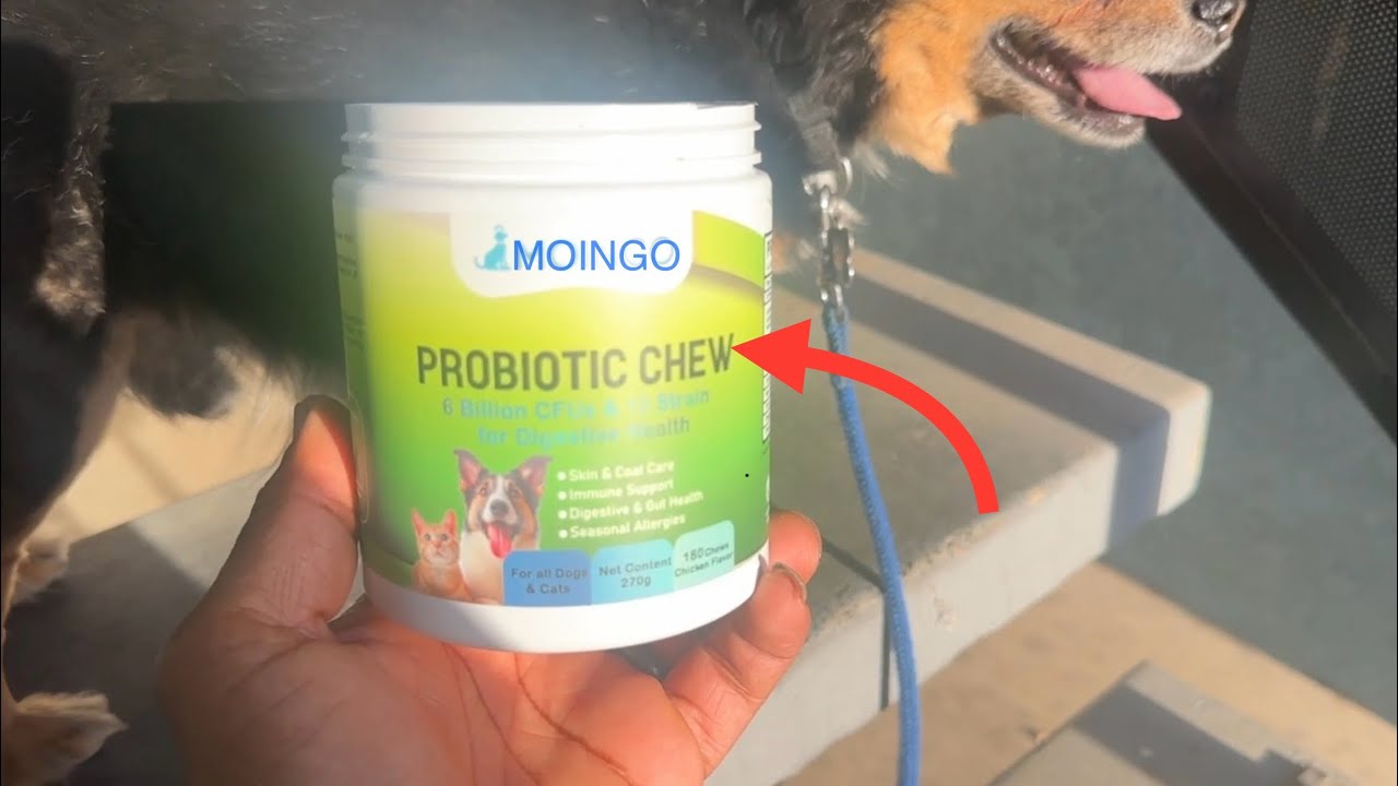 MOINGO Pet Probiotics for Dogs and Cats Review | 