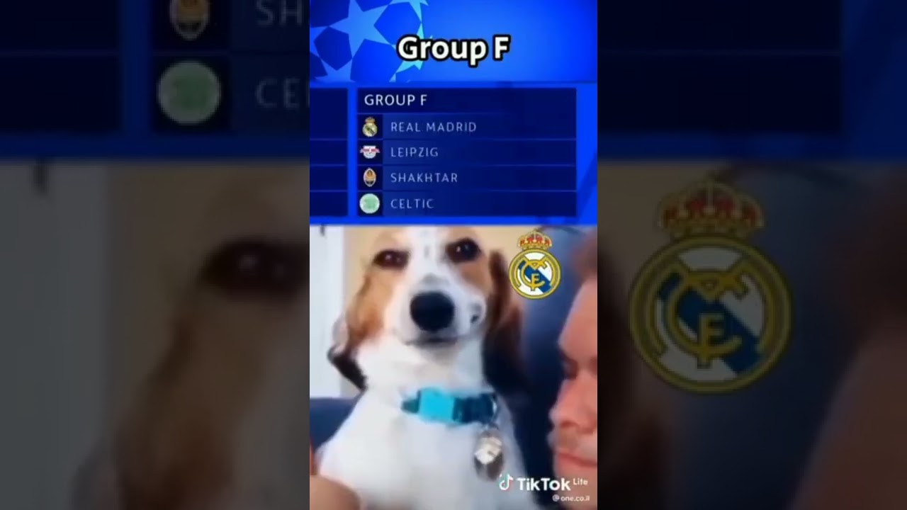 Champions League group stage draw meme 😂😂