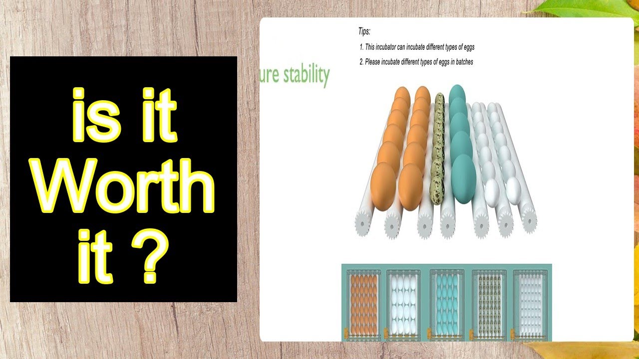 Hethya 24-36 Egg Incubator Features - Important Information