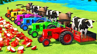 TRANSPORT SHEEPS, BULLS & PITAYA FRUITS WITH FENDT & LANZ TRACTORS - Farming Simulator 22