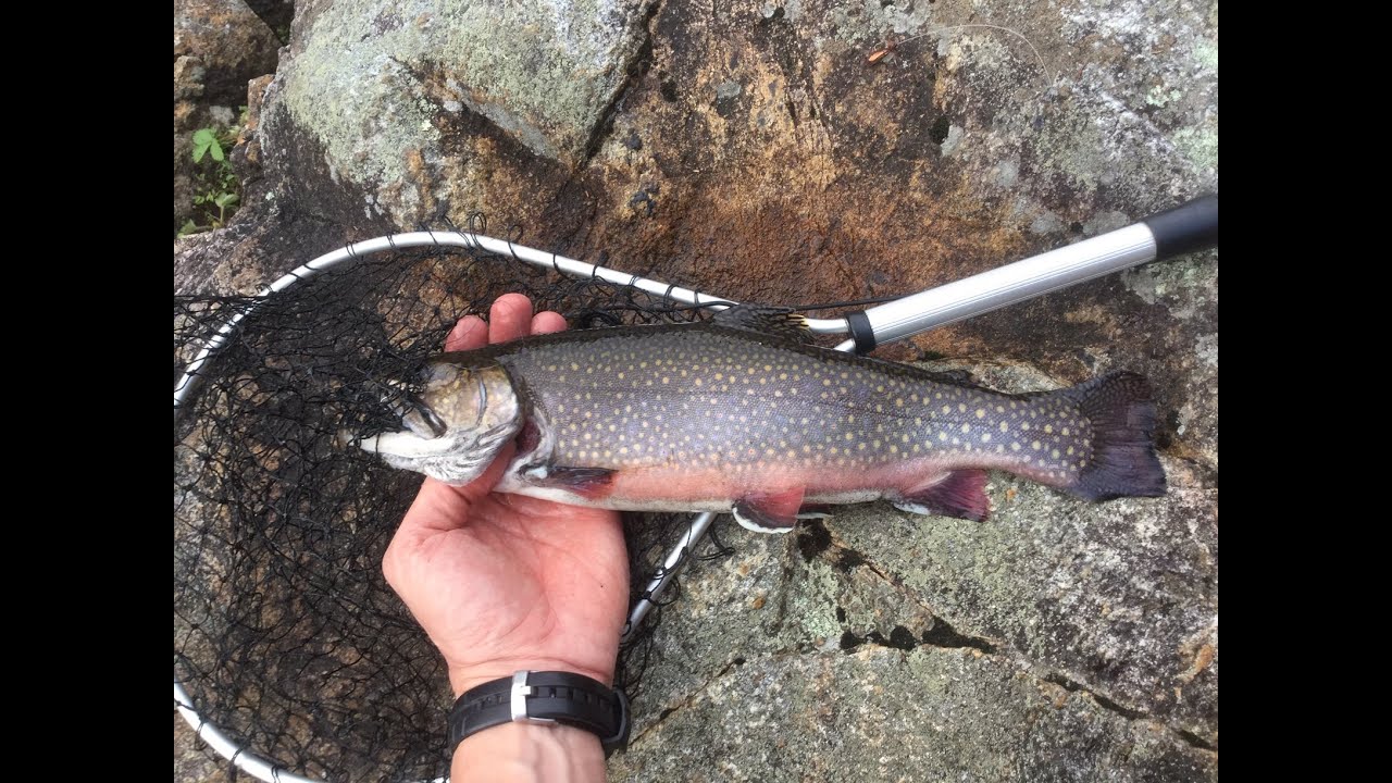 Pourvoirie La Seigneurie du Triton YouTube Pourvoirie La Seigneurie du Triton YouTube