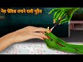 नेल पोलिश लगाने वाली चुड़ैल | Nail Paint Witch | Horror Stories | Bhoot Ki Kahaniya | Chudail Kahani