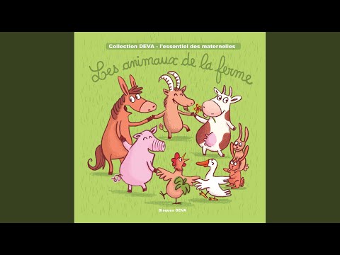 Lapin dans sa cage