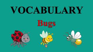 Kids Vocabulary Flashcards. BUGS. 4 Words. Bugs Team 1 Unit 1. ESL Vocabulary.