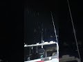 Boat Runs Aground! Caught in the Sand! #shorts