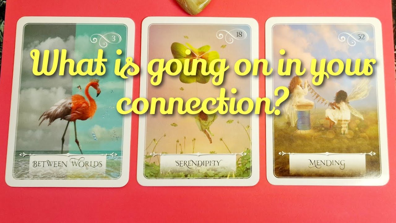 💗 What is going on in your connection 💗 pick a card tarot ️ timeless ️ ...