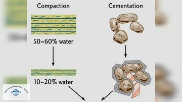 Compaction and Cementation