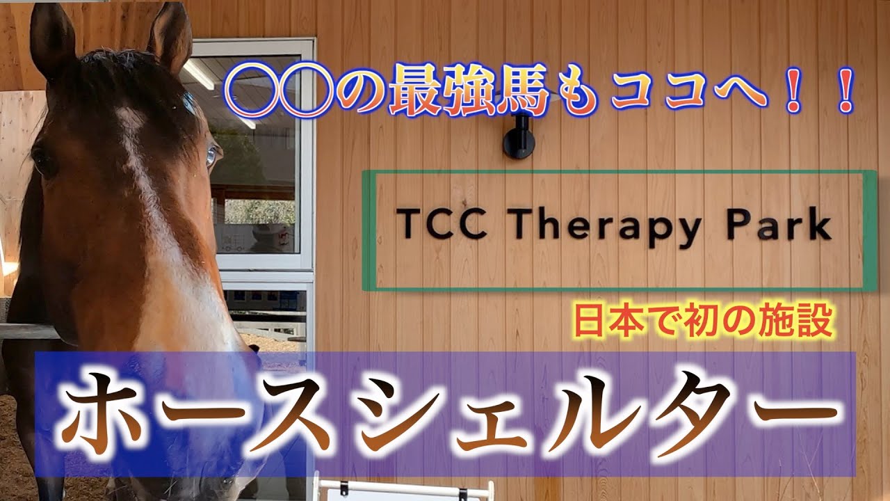 【日本初の施設】ホースシェルター　TCCセラピーパーク