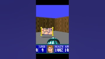 Secrets E2 F5 - Wolf 3D, 30th Anniversary Edition #wolfenstein3d