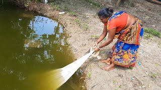 Best Net Fishing|Unbelievable Fishing At Home In My Village|| Akhi Fishing Bd(Part - 37)