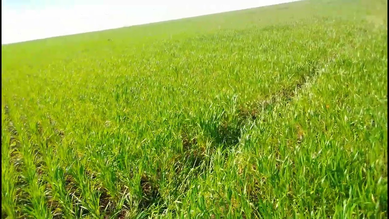 ارض للبيع باولاد سعيد سطات الهاتف03838565 06