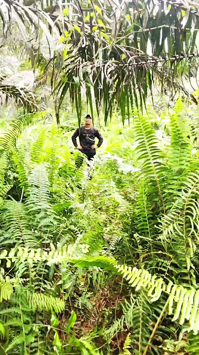 detik😲😮penemuan😬