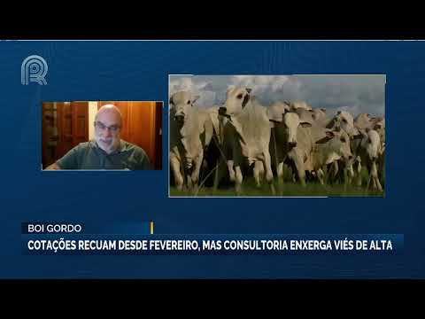 Boi Gordo: cotações recuam desde de fevereiro, porém consultoria visualiza viés de alta |Canal Rural