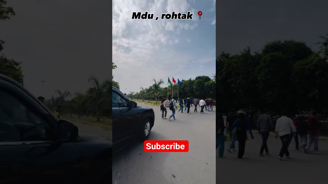 MDU Rohtak Youth Festival Vibes🔥 MDU Rohtak Dance Performance 