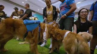 How we raise our dogs? | Vistamall x PCCI Events