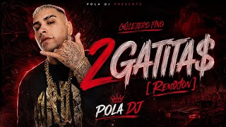 2 GATITA$ [Remixton] - Callejero Fino , Pola DJ