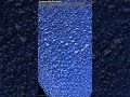 Predator-Prey Ecosystem — 3D Cellular Automata #Shorts