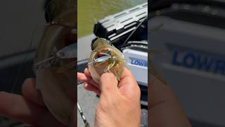 Start to finish!!🤩#godfirst #baitmaking #fishing