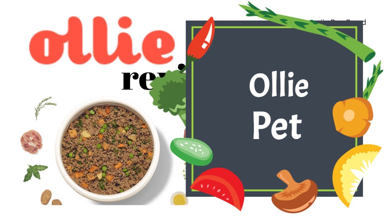 How Do You Thaw Ollie Dog Food