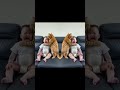baby crying #trending #facts #motivation #viral #history